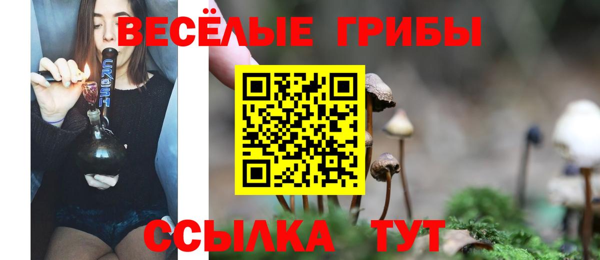 Комсомольск-на-Амуре  Галлюциногенные грибы Psilocybe  как найти наркотики  Вход с VPN 